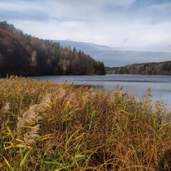 lake in autumn