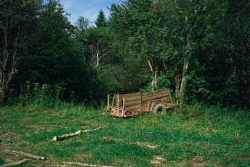 An abandoned wooden cart in a clearing by an old logging site in the middle of the forest. Bieszczady, Poland