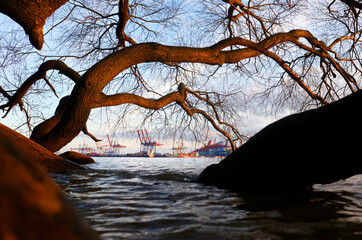 Hamburg Hafen an der Elbe gesehen vom Elbstrand aus durch Bäume