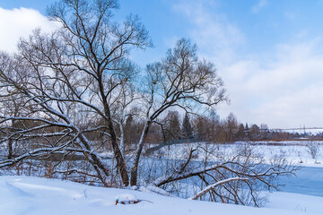landscape with trees