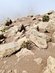 fuerteventura dessert climate Pico de la Zara hikking