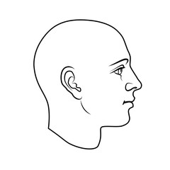 Hand drawn model of human head in side view. Black and white outline flat vector drawing isolated on white background. EPS 8.