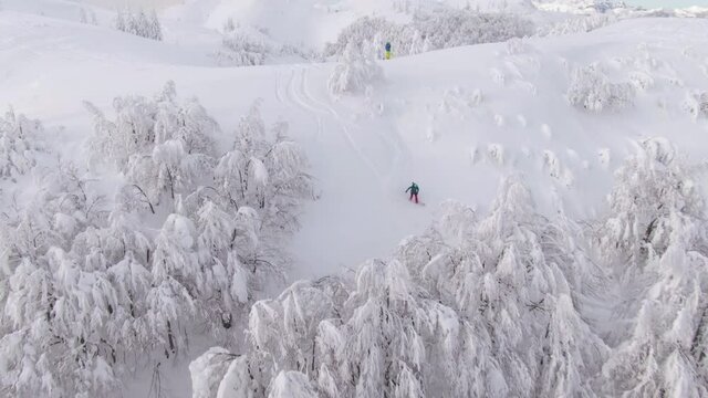 AERIAL: Flying above a snowboarder descending down the snowy hill in Julian Alps during a splitboarding trip with other active tourists. Other ski tourers observe splitboarder shredding powder snow.