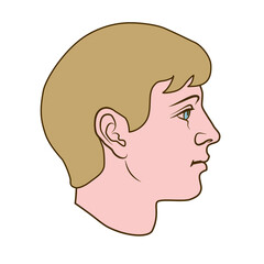 Hand drawn model of human head in side view. Blond haired, gender neutral face. Colored flat vector drawing isolated on white background. EPS 8.