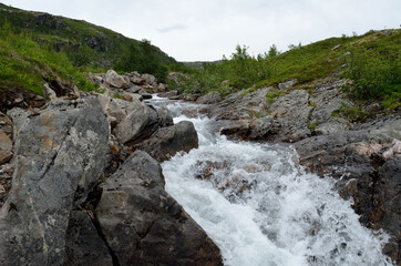 beautiful clean and fresh mountain stream in summer