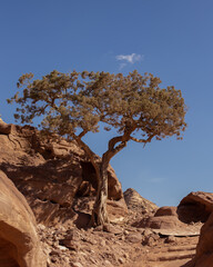 Jordan Desert, Petra, ancient City