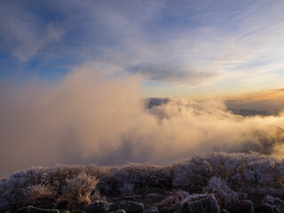 Fototapeta na wymiar 冬の九重連山中岳山頂から幻想的な雲海の中眺める朝焼け