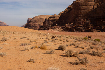 Breathtaking Wadi Rum Desert Landscape in Jordan