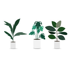 Set plants indoor isolated on white background , Tree Houseplant for Home and Office. Vector illustration EPS 10