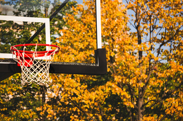 Basketball hoop with net in autumn park