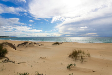 Fototapeta na wymiar The empty beautiful dunes near Baelo Claudia near Tarifa, Spain, during quarantine because of COVID-19 