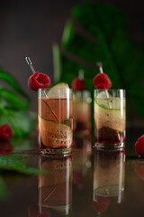 Set of cocktails in shot glasses with cucumber,berry liqueur and raspberries on dark background with reflection and palm leaves.Recipe,bar menu.Close up,selective focus.