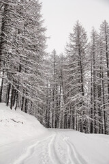 landscape photography around europe.