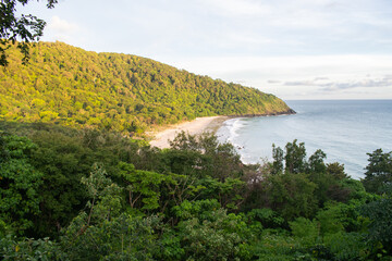 A natural beach from Koh Lanta, Thailand and the jungle near it.