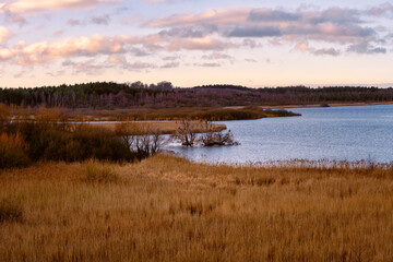 A view of a marsh filled with reeds. A lake in the background. Picture from Lund, southern Sweden