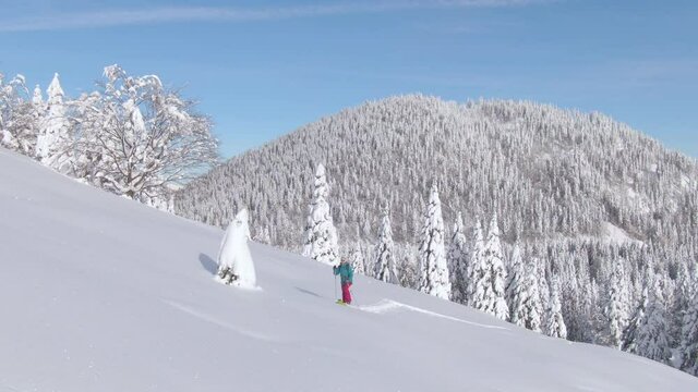 DRONE: Scenic wintry mountain landscape surrounds fit young woman ski touring on a sunny day. Woman on splitboarding trip in the Julian Alps hikes up a snowy meadow. Gorgeous idyllic wintry landscape.