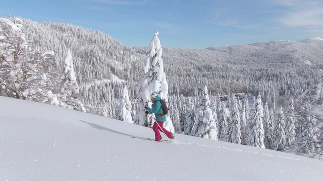 Active female tourist ski touring in the gorgeous Julian Alps hikes up a powder covered hill. Young Caucasian woman on splitboarding trip treks across a snow covered meadow on a sunny winter day.