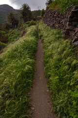 Fototapeta na wymiar Tenerife trails from Masca village