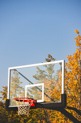 Basketball hoop with net in autumn park