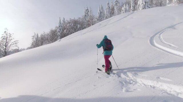 DRONE Fit Caucasian woman observes the beautiful snow covered nature while crossing the wintry landscape during ski touring trip to Bohinj. Active female tourist hikes along a hill while splitboarding