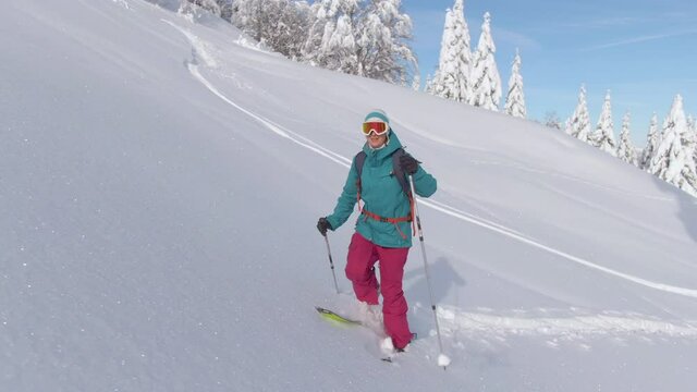 AERIAL: Fit female tourist hikes along an ungroomed slope while splitboarding in Julian Alps. Young woman observes the snow covered nature while crossing a meadow during a ski touring trip to Bohinj.