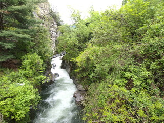 Wildbach in Bozen