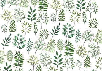 plant pattern