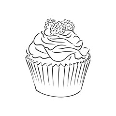 Set of sweet bakery decorated cupcakes hand drawn in vintage engraved style. Vector illustration. Isolated on white background. cupcake cake vector sketch illustration