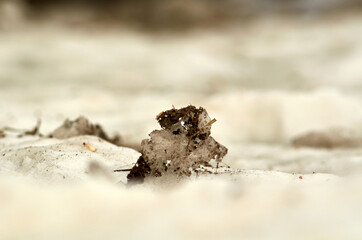 Frozen ball of snow with the ground