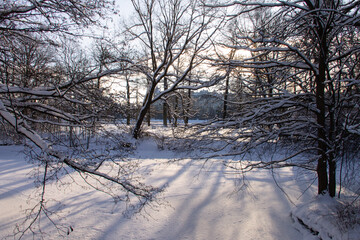 winter landscape sunny day in a park with a river covered in snow