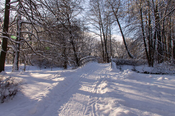 Winter landscape The road passes through a snowy forest on a sunny day