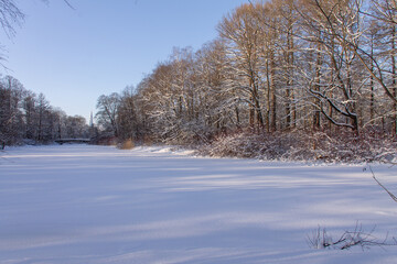 Fototapeta na wymiar natural winter landscape, forest river with trees on the banks, covered with snow