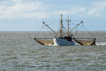 Krabbenkutter in der Nordsee
