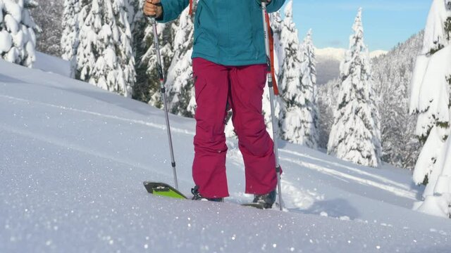 SLOW MOTION, LOW ANGLE, CLOSE UP: Unrecognizable female splitboarder hikes up a glistening snowy meadow on a sunny winter day. Woman on splitboarding trip in Slovenian mountains treads fresh snow.