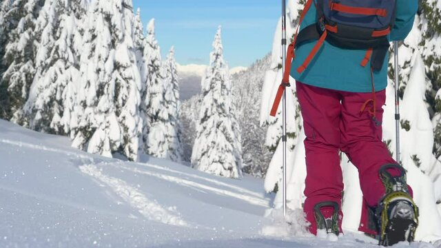 LOW ANGLE, CLOSE UP: Fit woman on a splitboarding trip in Slovenian mountains treads fresh powder snow. Unrecognizable female splitboarder hikes up a glistening snowy meadow on a sunny winter day.