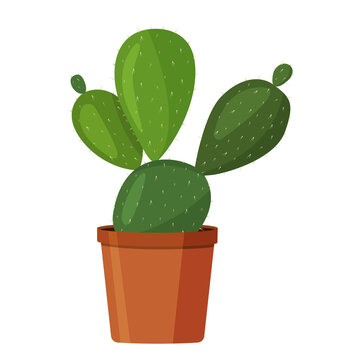 Cactus in a brown pot. Vector image in a flat style. Colorful illustration of a cactus in a pot.