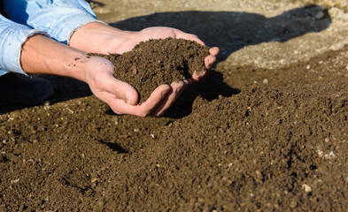 Man's hands hold freshly sifted lawn soil