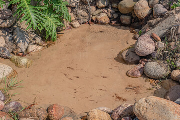 Water source. Natural source of drinking water.