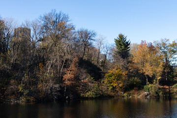 Fototapeta na wymiar Colorful Trees along the Shore of the Pond at Central Park in New York City during Autumn with No People