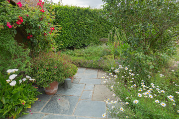 Patio in the cottage garden