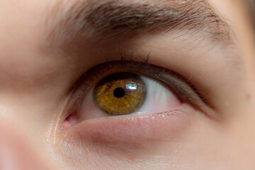 Naklejka premium close up of eye