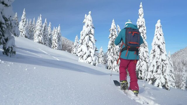 COPY SPACE: Fit young woman on splitboarding trip in Julian Alps hikes up powder covered slope. Unrecognizable female tourist explores idyllic wintry mountain landscape during ski touring adventure.