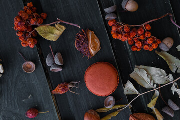 Obraz na płótnie Canvas Colored macarons on a dark background with plant leaves and flowers