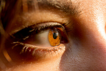 Fototapeta premium close up of a female eye
