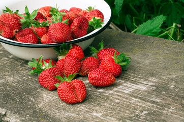 Ripe strawberries. The most delicious berries. Juicy berries. The harvested crop.