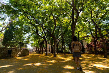 Fototapeta premium white Spanish woman walking in the park