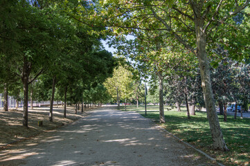 path road with trees in a park in Madrid. Spain
