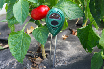 Soil measurements with a digital device. Green plants measure pH and soil moisture. High tech...
