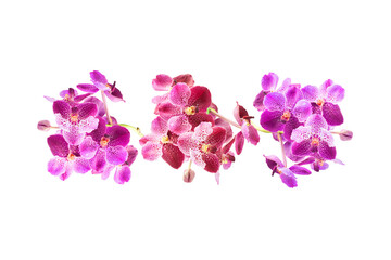 Naklejka na ściany i meble Beautiful purple Orchid flower isolated on white background with clipping path. Flower arrangement. Floral design Top view or flat lay Summer and nature background design