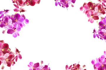 Fototapeta na wymiar Purple orchid flowers border frame with white copy space